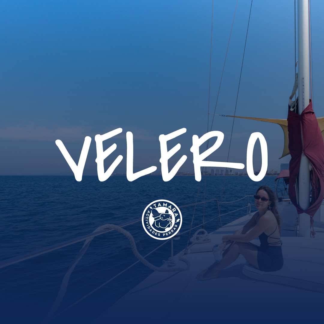 VELEROS