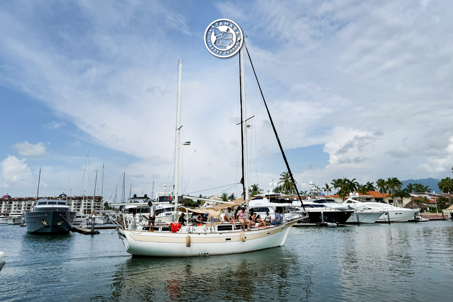 ALOCADO ZERO CONTROL