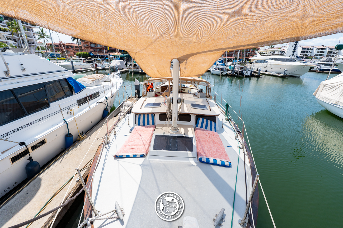 ALOCADO ZERO CONTROL