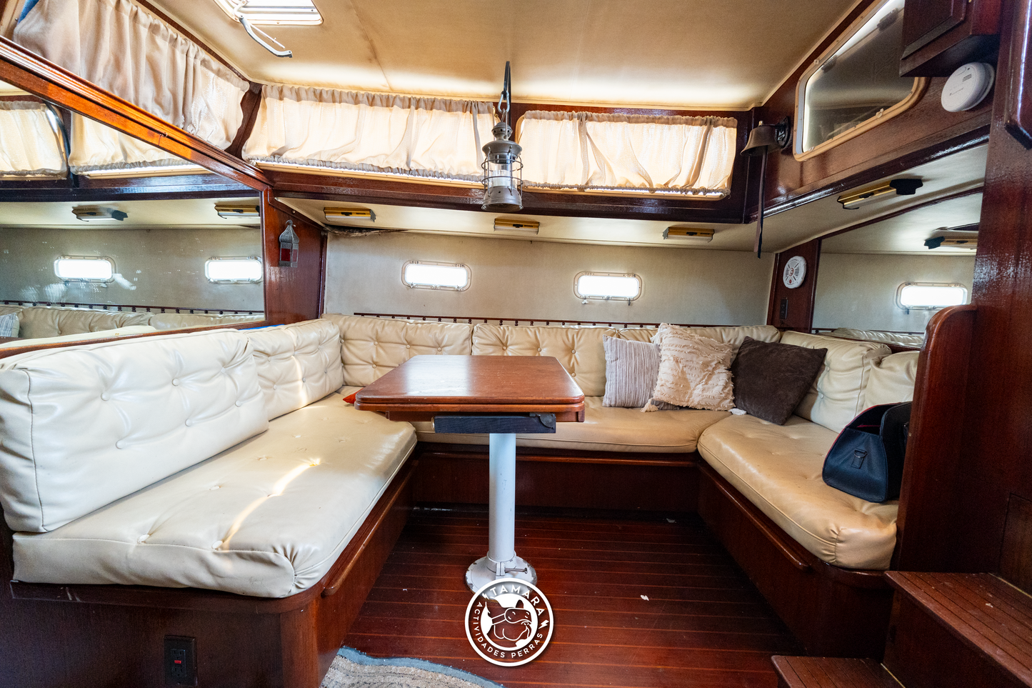 ALOCADO ZERO CONTROL